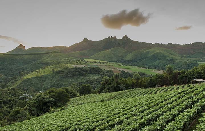 Lavazza journey toward sustainability