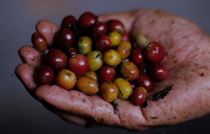 Un proyecto para Ecuador, tierra llena de recursos 