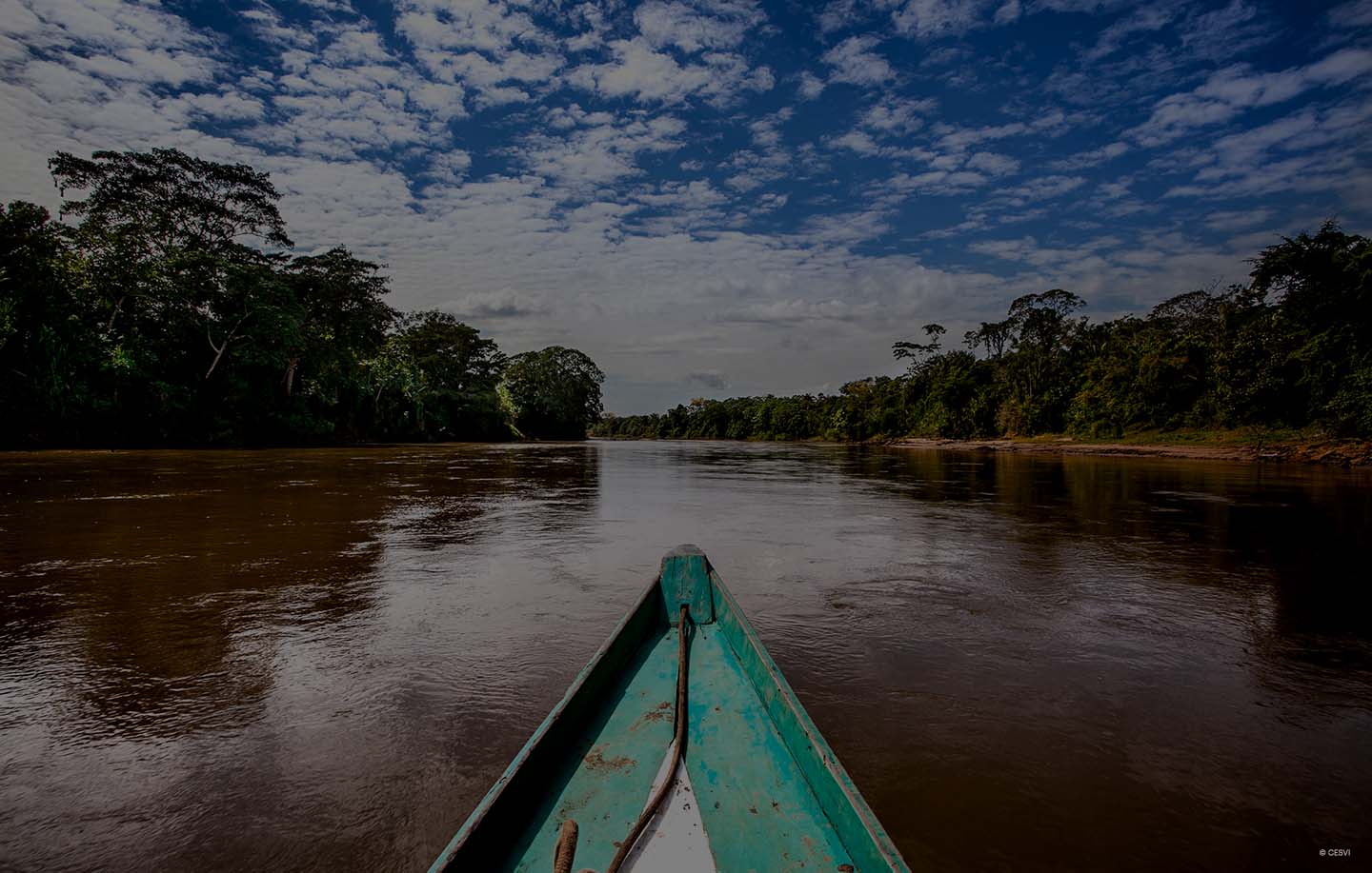 Protecting the Amazon rainforest