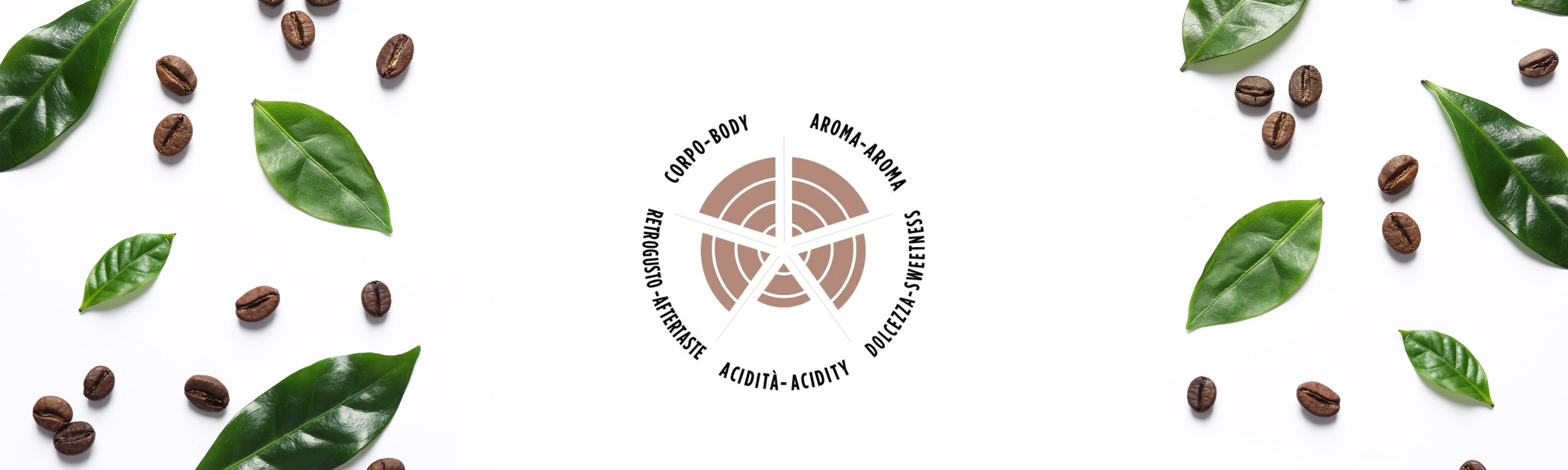 Tierra! Selection - Organic Coffee Beans | Lavazza