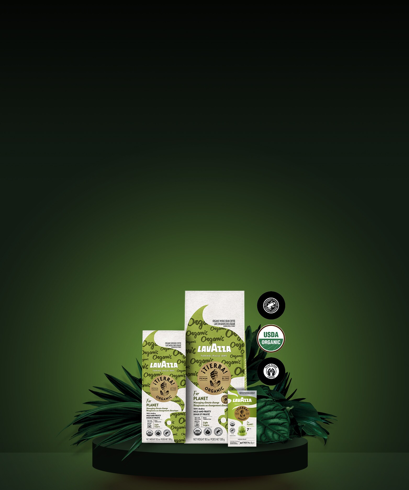 progetto