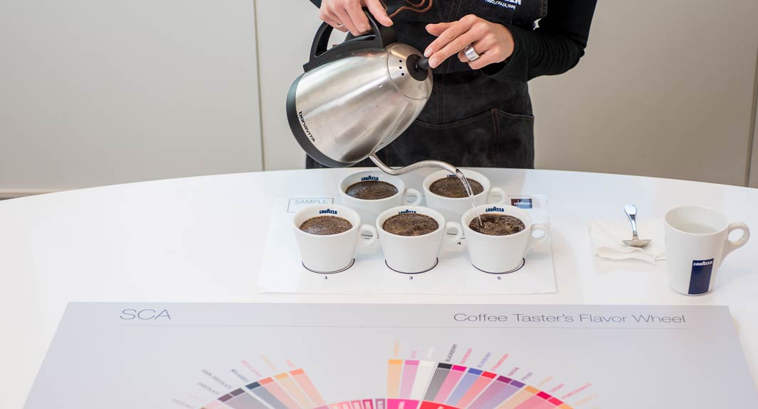 coffee tasting experience”