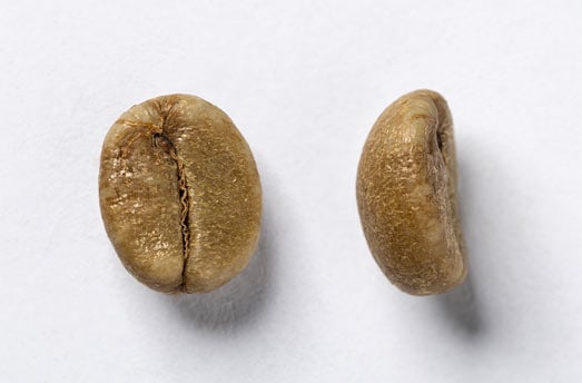 Grano Robusta