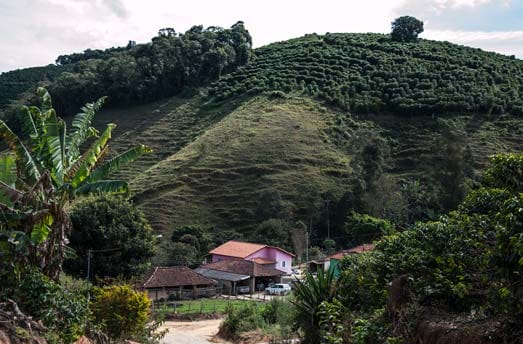 plantación de café en Brasil